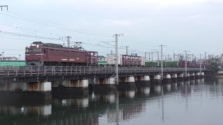 【JR貨物】５９レ ＥＦ８１-４０６ 大型コンテナ４個積載のみ