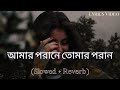 Amar porane tomar poran      lyrics slowed  reverb  rakib mosabbir  kheya