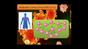 Replication and Formation of coronavirus (SARS-COV-2)