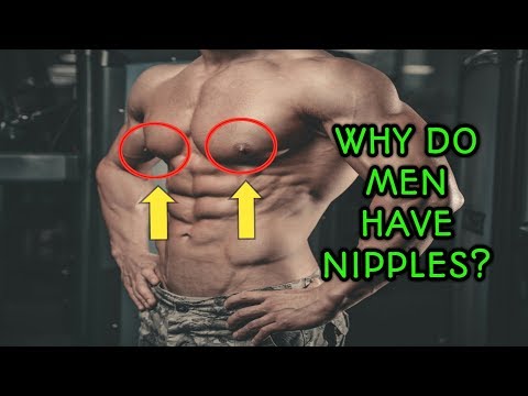 Why Do MEN HAVE NIPPLES? | पुरुषों के निपल्स क्यों होते हैं? |