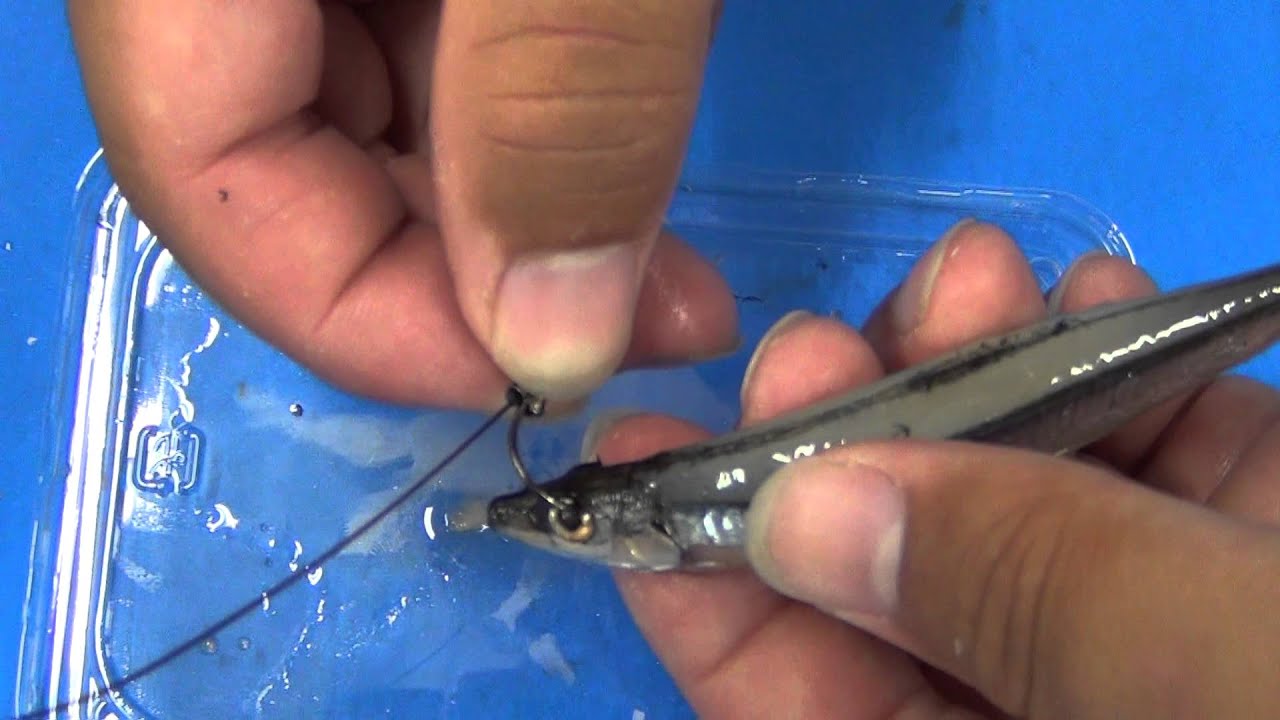 太刀魚ワイヤー2本針仕掛け取り扱い紹介 タチウオ釣り入門 和歌山釣太郎 Youtube