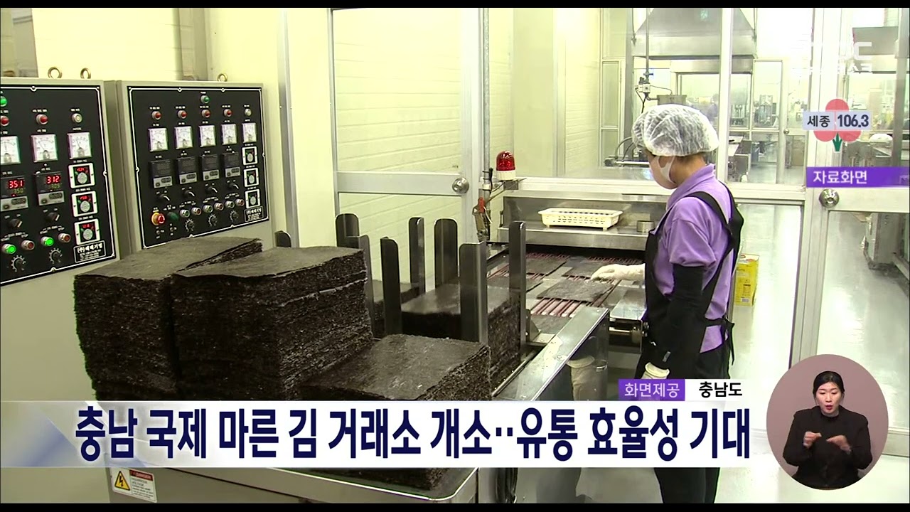 충남 국제 마른김 거래소 개소..가격 투명화 기대/대전MBC