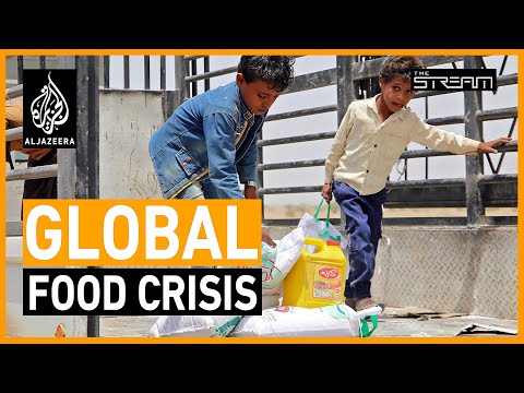 How is the war in Ukraine creating a global food emergency? | The Stream