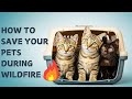 Survival Tips for Pet Owners During Wildfires! #petsafetytips #wildlife #safety