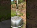 Traditional Farm Tech Acoustic Bird-Scaring Device
