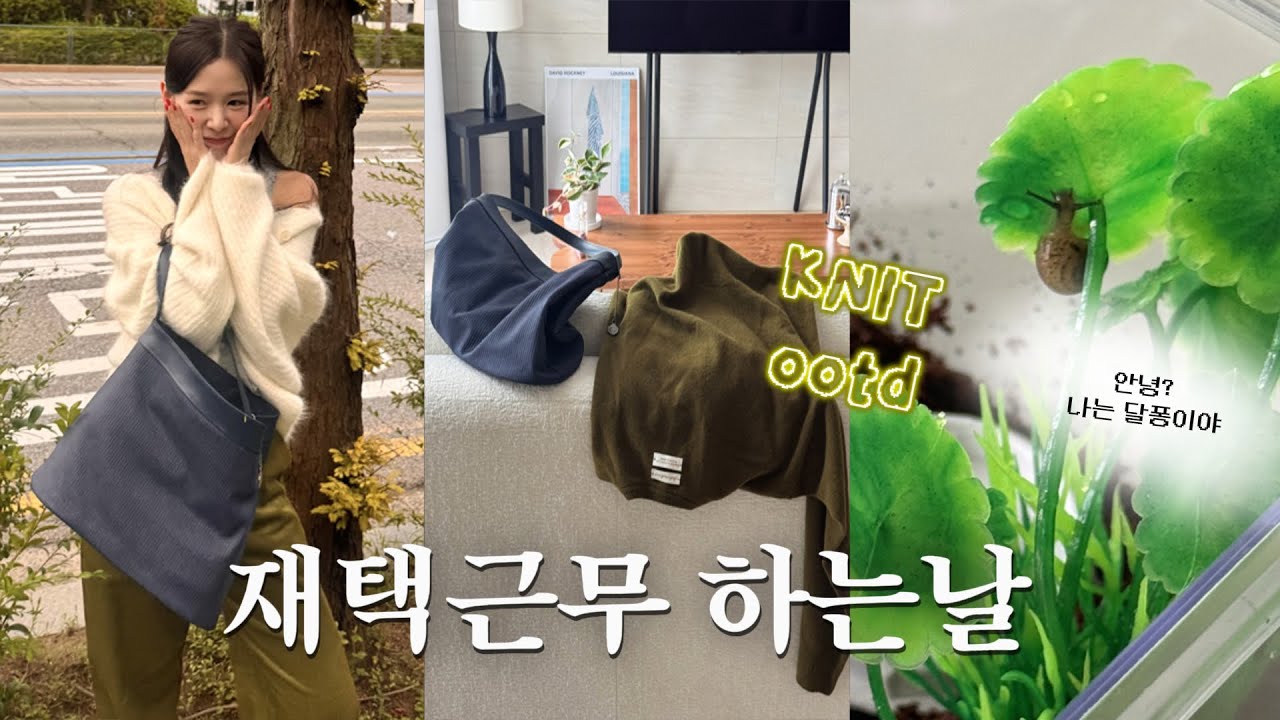 Vlog) 직장인 쉬는날 재택근무👩🏻‍💻🏡  | 가을 니트코디 OOTD 🫒 (쏘딩키브레드·미닛뮤트·마그넷·더바넷·샤드라마) | 달팽이 입양하다..?🐌