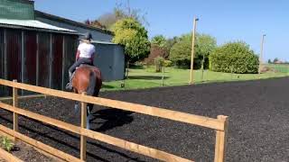 Harley flatwork