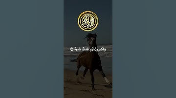 سورة الشورى: القارئ احمد العجمي