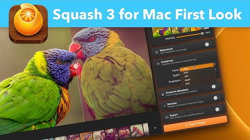 Squash 3 - First Look