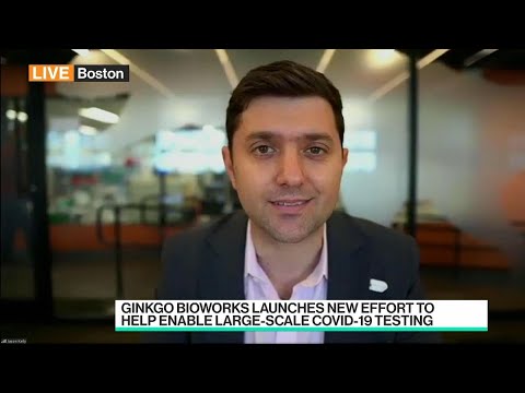 Ginkgo BioWorks CEO on New Covid-19 Testing Initiative Ginkgo BioWorks CEO on New Covid-19 Testing Initiative