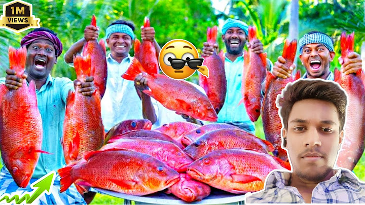 RED SNAPPER FISH | Big Fish Grill Recipe Cooking in Village | Fish Fry in Clay |F9 M4U Fish #recipe