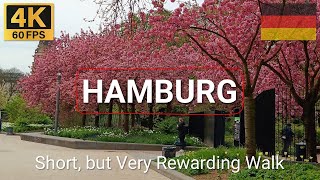 HAMBURG, Germany 🇩🇪 | 2023 | 4K·60p | Dammtor Station to Central Station/Hauptbahnhof Walk