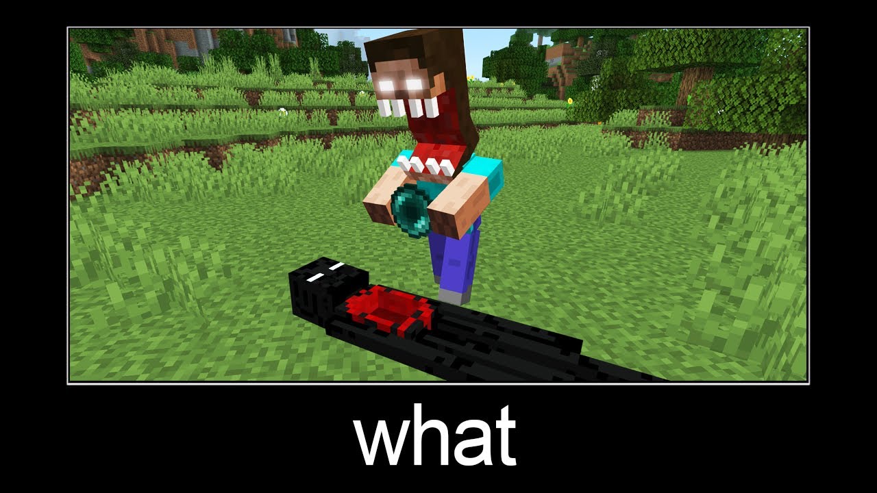 Minecraft wait what meme part 251 (Scary Herobrine and Enderman)