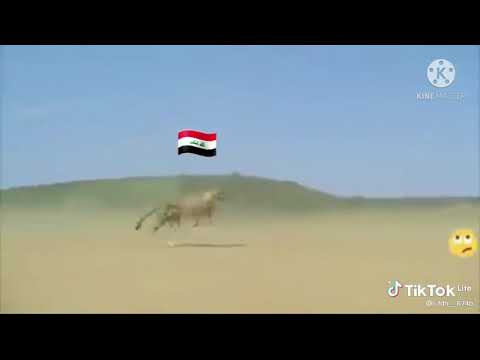 هدو علي ماعندي خوان