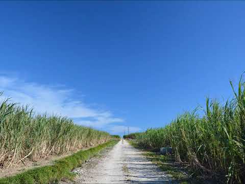 道・山崎朋子カラピアノ（MIDI）