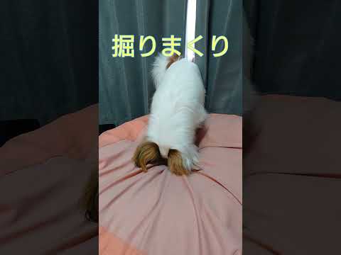 おいおい！穴あいちゃうよ（笑）