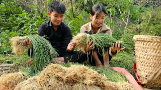 Homeless boy and a poor girl pick vegetables from the garden to sell, improving their lives