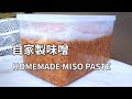 【味噌(豆みそ)の作り方】自家製の米麹(米こうじ)を使って発酵生活スタートです！ HOMEMADE MISO PASTE 日式手工味噌
