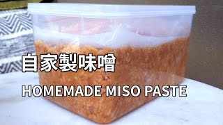 【味噌(豆みそ)の作り方】自家製の米麹(米こうじ)を使って発酵生活スタートです！ HOMEMADE MISO PASTE 日式手工味噌