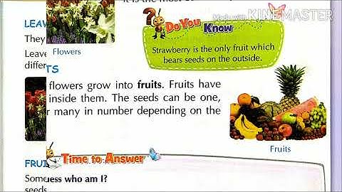 Class 2 EVS Chapter 9 Plants Around Us Part 2 Page No 145