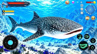🦈 The Whale Shark Simulator | Best Animal Simulator Games on Android  screenshot 5