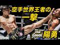 【極真空手世界王者の豪打】ONE SAMURAI 3参戦!陽勇の衝撃ベストアクション集!
