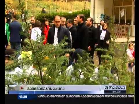 თბილისის მერი ხეების დარგვას განაგრძობს