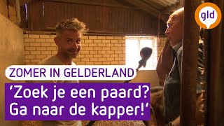 Download Lagu Zomer in Gelderland | Wedden dat je het niet gaat redden #4 | Hedel MP3 Download Lagu Zomer in Gelderland | Wedden dat je het niet gaat redden #4 | Hedel MP3