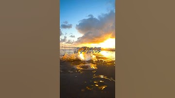 واتس اب قران كريم القارئ سعد الغامدي من سورة (يس)