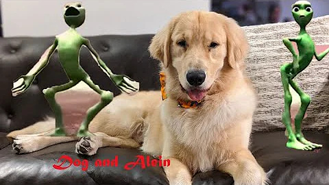 Dog Pranked with Alien.... Dogs vs Alien Prank : Funny Dog