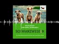 73 She Rides - with a dog - Schwanzwedeln