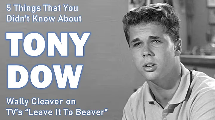 5 Things that You Didn't Know about Leave It To Be...