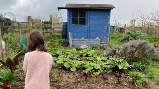 First look at my new allotment