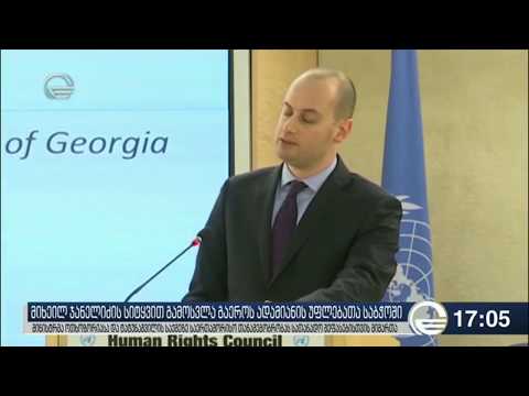 მიხეილ ჯანელიძემ გაეროში არჩილ ტატუნაშვილის გარდაცვალებაზე ილაპარაკა