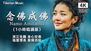 1 Hour Buddhist Chant ｜Daily Nianfo: Namo Amitabha, Buddha’s Blessings for Peace & Wisdom｜Healing