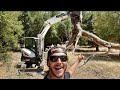 PUTTING THE MINI EXCAVATOR TO THE TEST WITH MASSIVE TREE WORK ON THE RANCH!