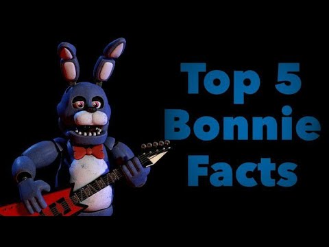 Top 10 Facts About Bonnie – Five Nights at Freddy's 