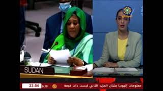 جلسة مجلس الأمن الدولي بمقر الأمم المتحدة حول مشروع القرار التونسي لملئ سد النهضة/ سماح خاطر