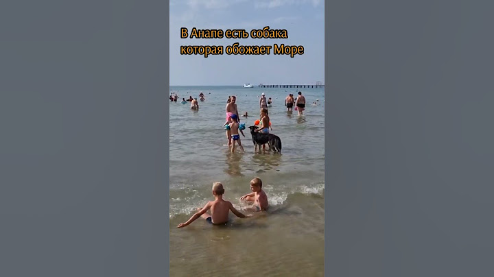 Анапа. В Анапе есть собака которая просто не может жить без Моря, все его зовут-Боцман ❤