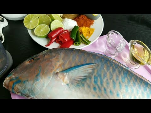 طريقه عمل سمك الحريد او البغبغان