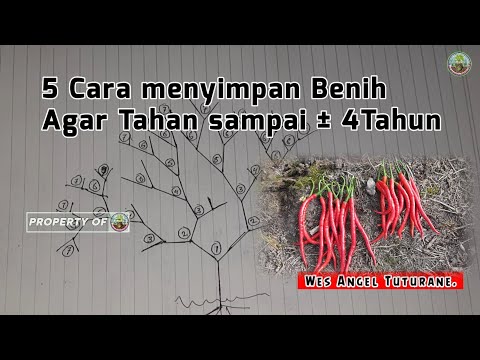 Video: Mengatur Dan Menyimpan Benih – Tips Unik Untuk Penyimpanan Benih Cerdas