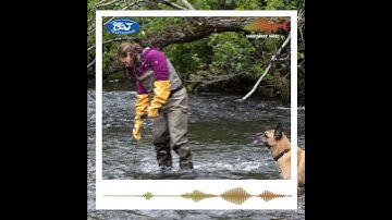 Salmonfest Radio - Sue Mauger