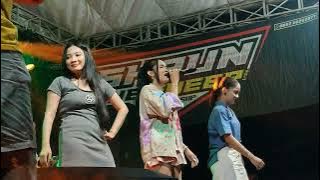CAMELIA REMIX - ALL ARTIST - SHAUN THE SHEEP - POMAHAN LEDOK SULANG REMBANG 2024