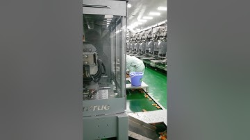 NY-803A Pneumatic Ribbon Date Coder for Vertical Intermittent Packing Machine