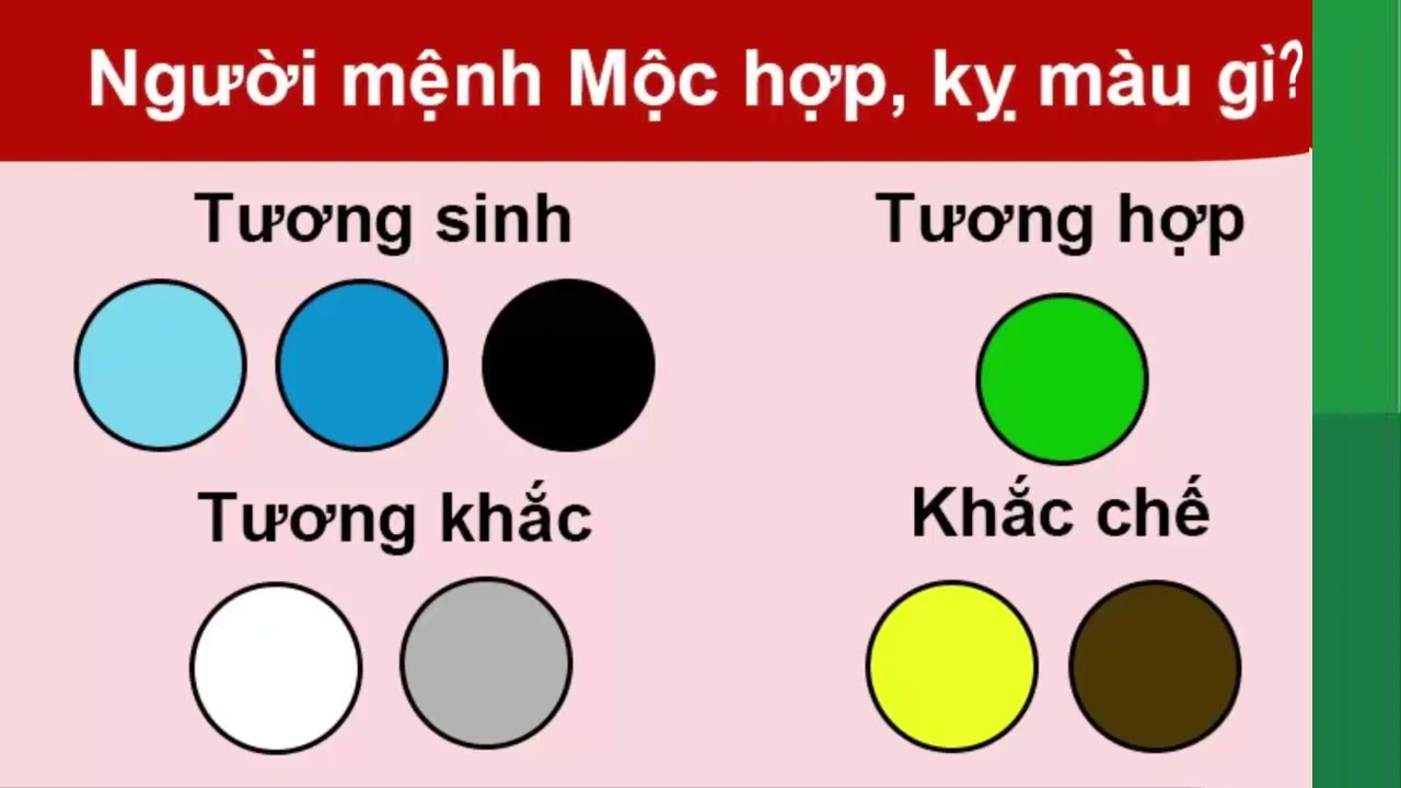 Mệnh Mộc Hợp Màu Gì Tìm Hiểu Về Sự Kết Hợp Hoàn Hảo Của Mệnh Mộc và Màu Sắc