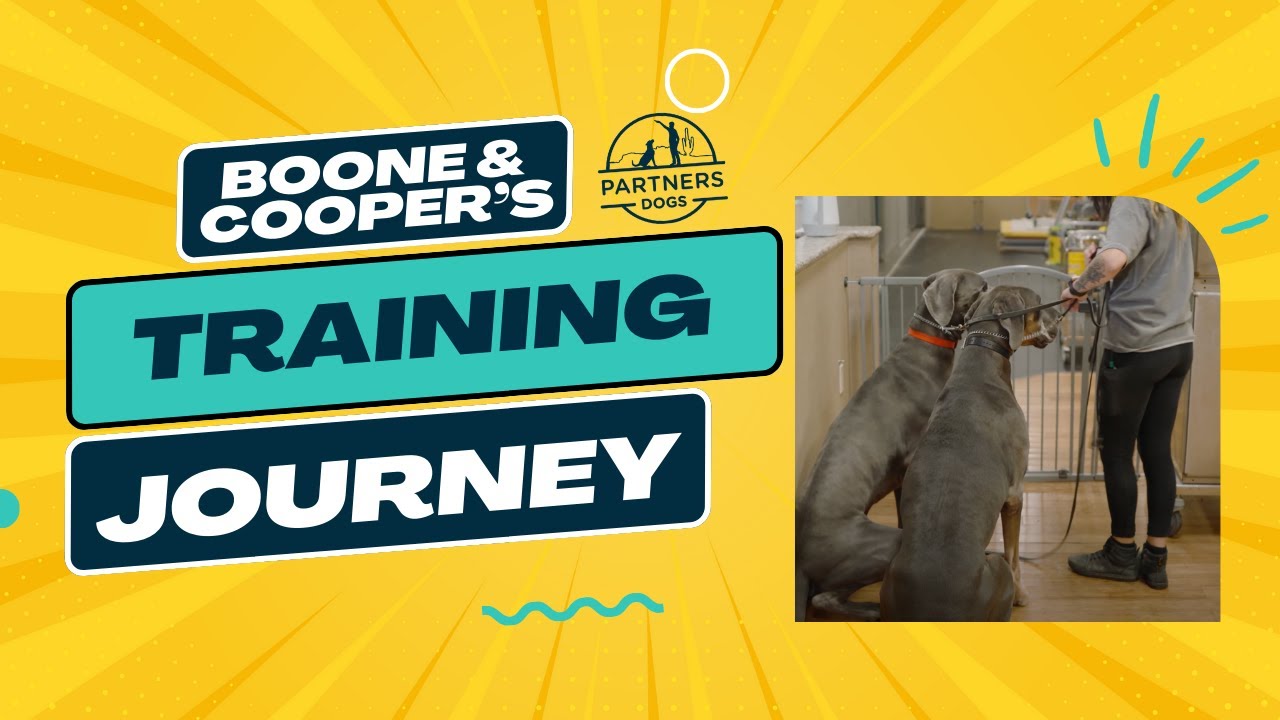 Boone & Cooper: Episode 1