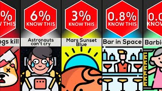 Probability Comparison: I Bet You Didn't Know This!