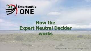 How the Smartsettle ONE Expert Neutral Decider Works