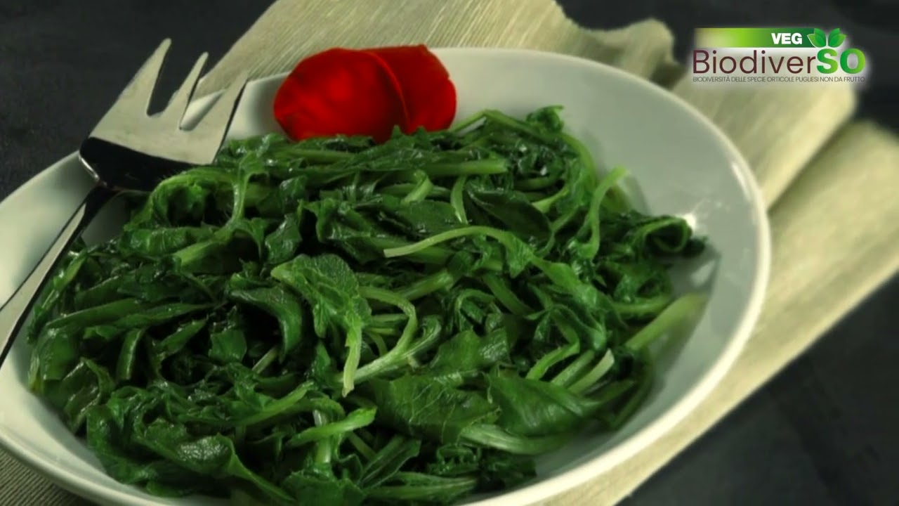 I contadini di Puglia e l'arte della domesticazione