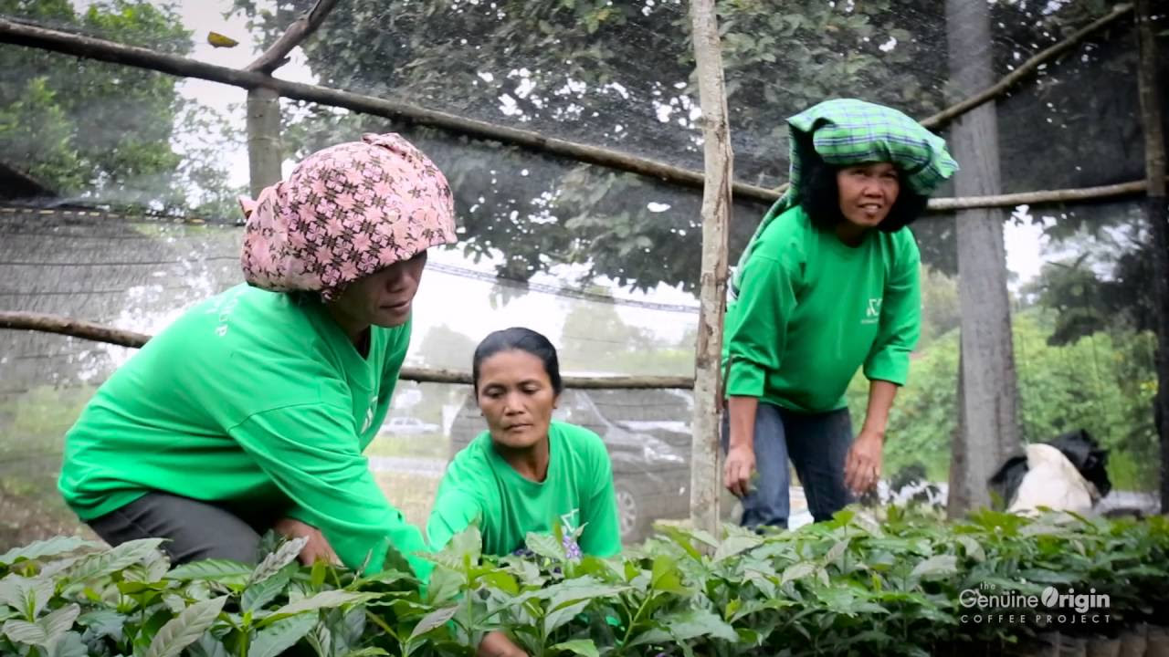 The Genuine Origin Coffee Project | Sumatra